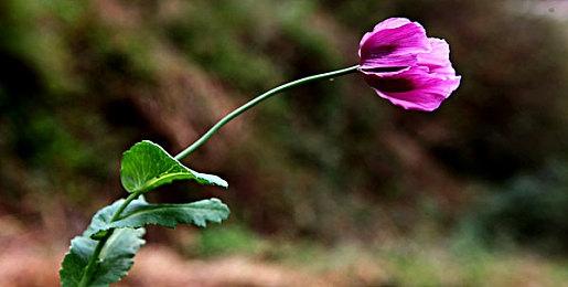《时间旅者：重生曙光》反响积极 生化粉丝一定喜欢